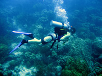 north cyprus diving